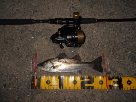 バチパターンでヒット