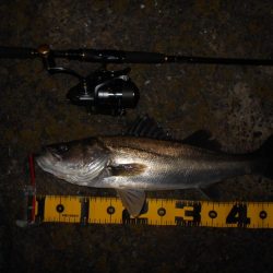 サクッとヒット♪