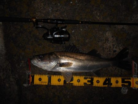 サクッとヒット♪