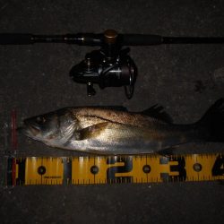 北風が吹けばテトラ際が狙い目？