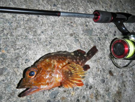 ショートでチビ