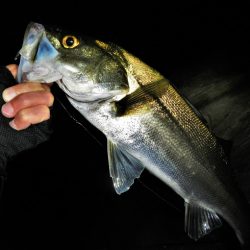 良く引きました