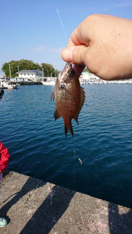 GWFF(ゴールデンウィークファミリーフィ…