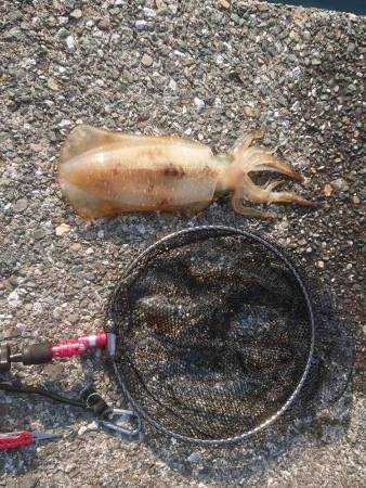 キロアップならず