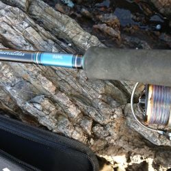 GWファミリーフィッシング