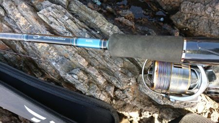 GWファミリーフィッシング