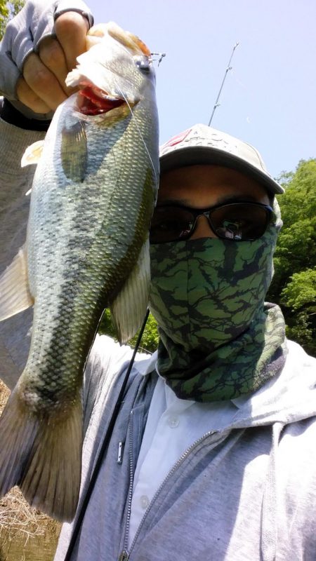 サイズが伸びない。