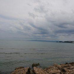 デカギス釣れてます