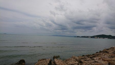 デカギス釣れてます