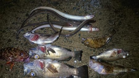 平成最後の釣り