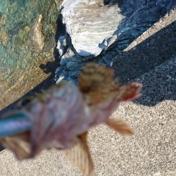 ベイティ2.3インチ