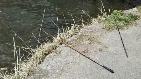 全然ダメ・・・