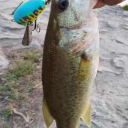 令和初の淀川バス