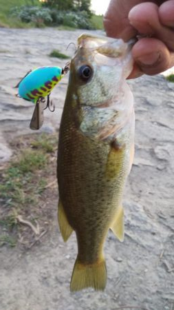 令和初の淀川バス