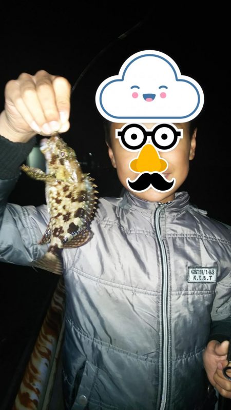 小さいのを数だけは・・・