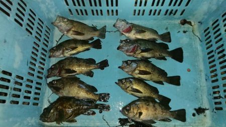 まだまだメバリング