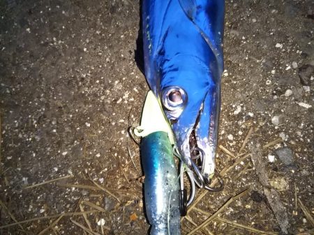 喰い渋るも辛うじて小刀 GET！