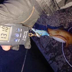 やっときましたキロアップ