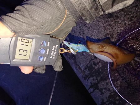 やっときましたキロアップ