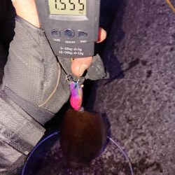 アオリサイズアップ