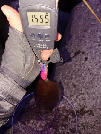 アオリサイズアップ