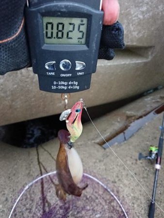 相変わらずの強風の中