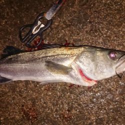 ぶっこみでハネ