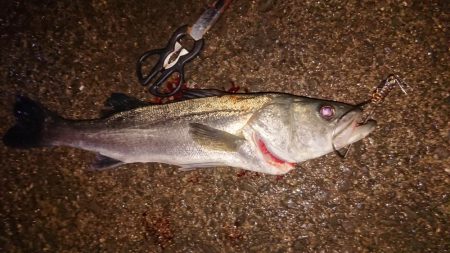 ぶっこみでハネ