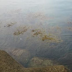 そろそろコウちゃん