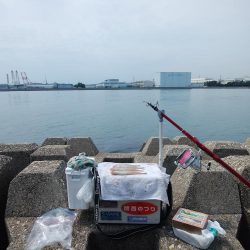 東二見水道のキス情報