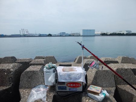 東二見水道のキス情報