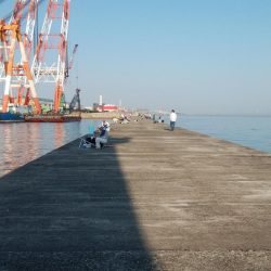 播磨新島のキス情報