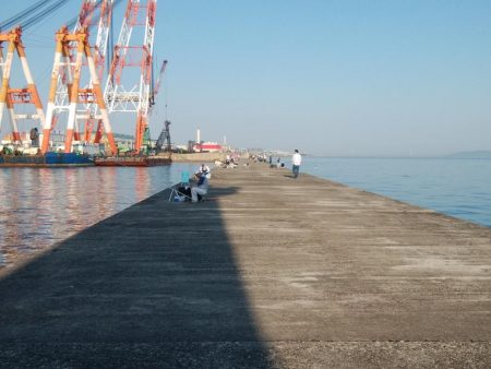 播磨新島のキス情報