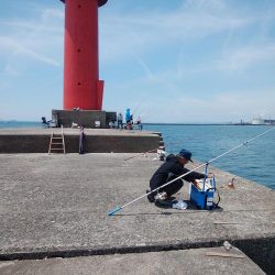 播磨新島のキス情報