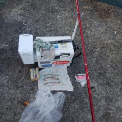 播磨新島のキス情報