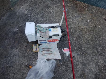 播磨新島のキス情報