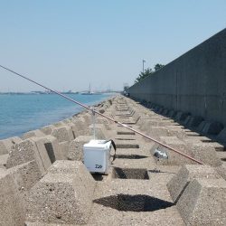 東二見西水道へキス釣査