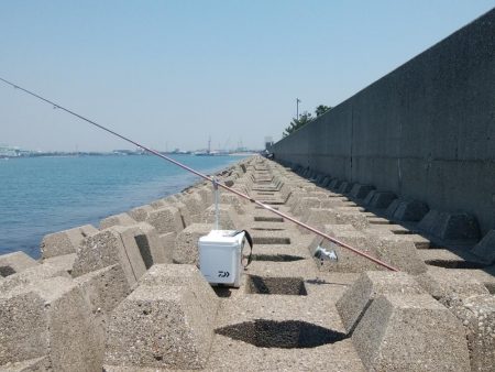 東二見西水道へキス釣査