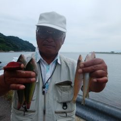 境水道で良型キス狙い