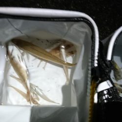 キスを求めて黄昏サーフ旅