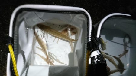 キスを求めて黄昏サーフ旅