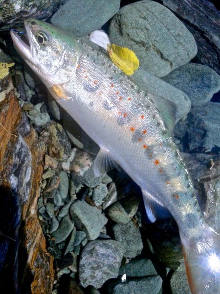 場所替えで何とか