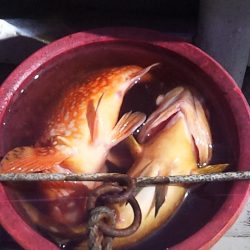 こういう日もあるよね