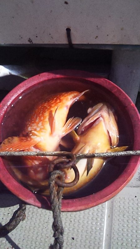 こういう日もあるよね