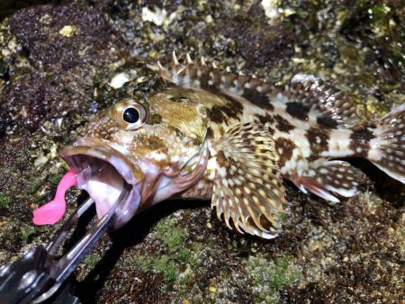 五目ライトゲーム