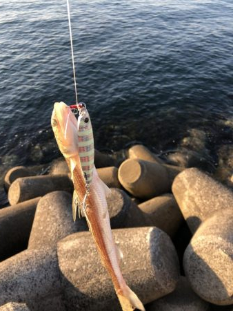 ショアジギング