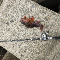 初の穴釣りで‼︎‼︎