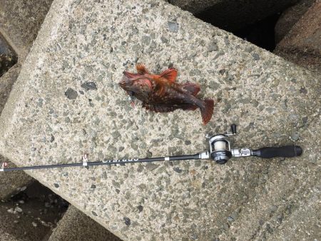 初の穴釣りで‼︎‼︎