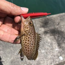 ゴールデンウィーク最終日