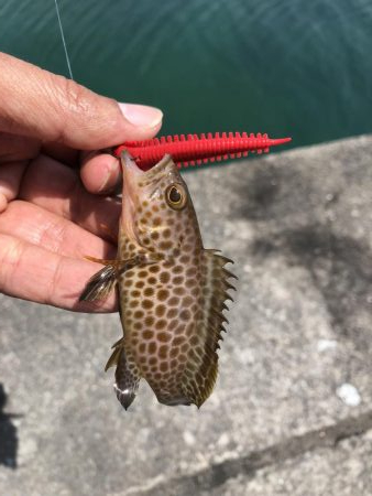 ゴールデンウィーク最終日